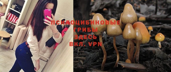 бошки Алексеевка