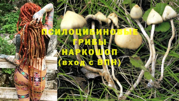 бошки Алексеевка